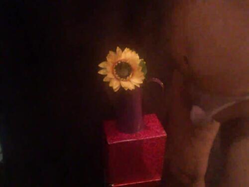 Seks spontan dengan bunga matahari